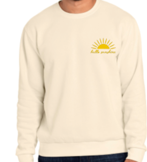 Hello Sunshine Embroidered Sweatshirt - Youth
